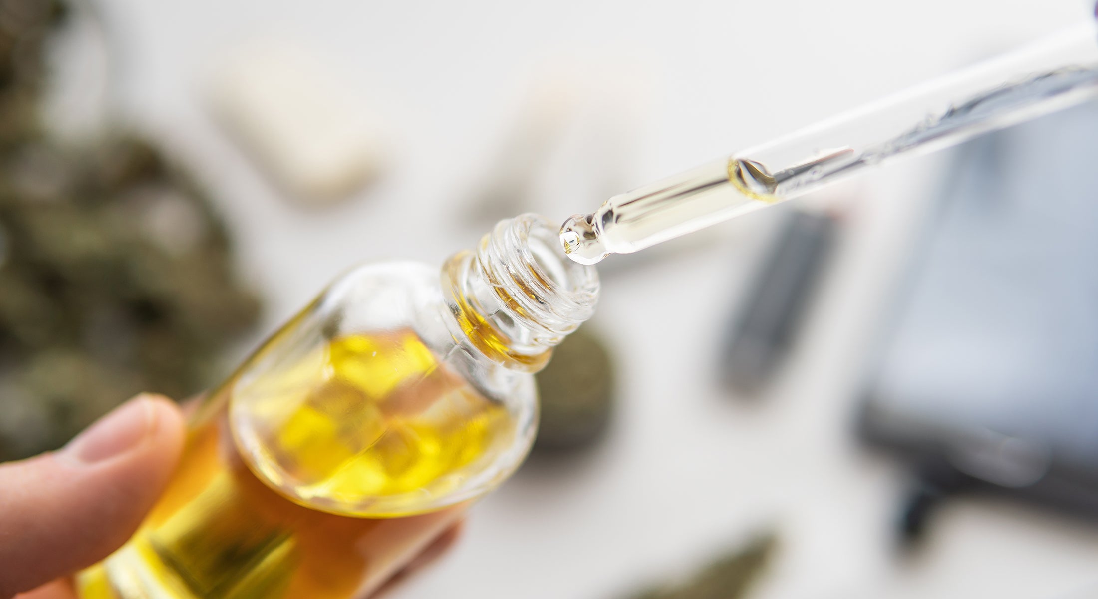 CBD Oil and the CO Extraction Process