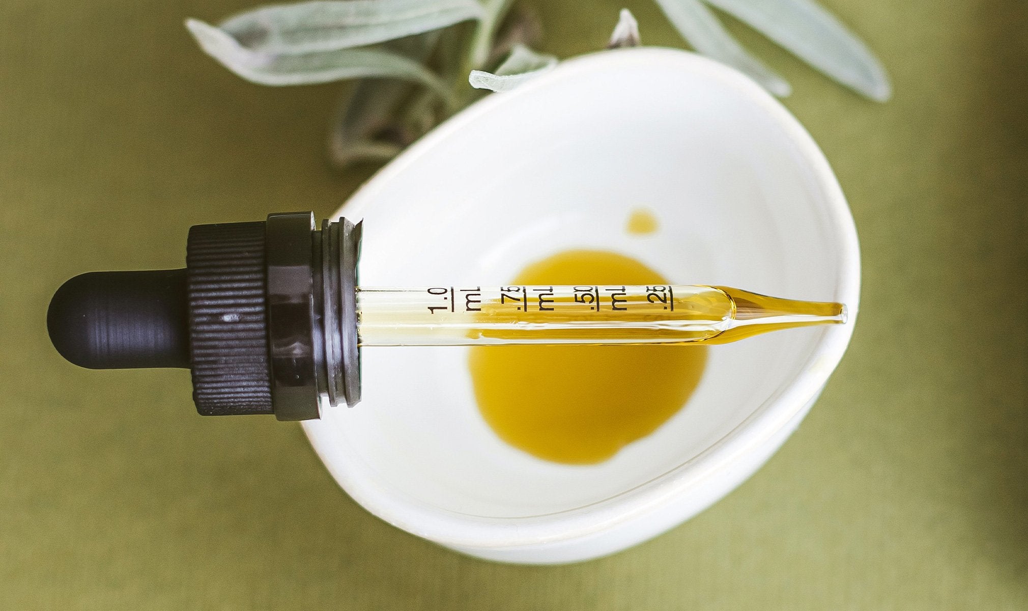 The CBD Extraction Process