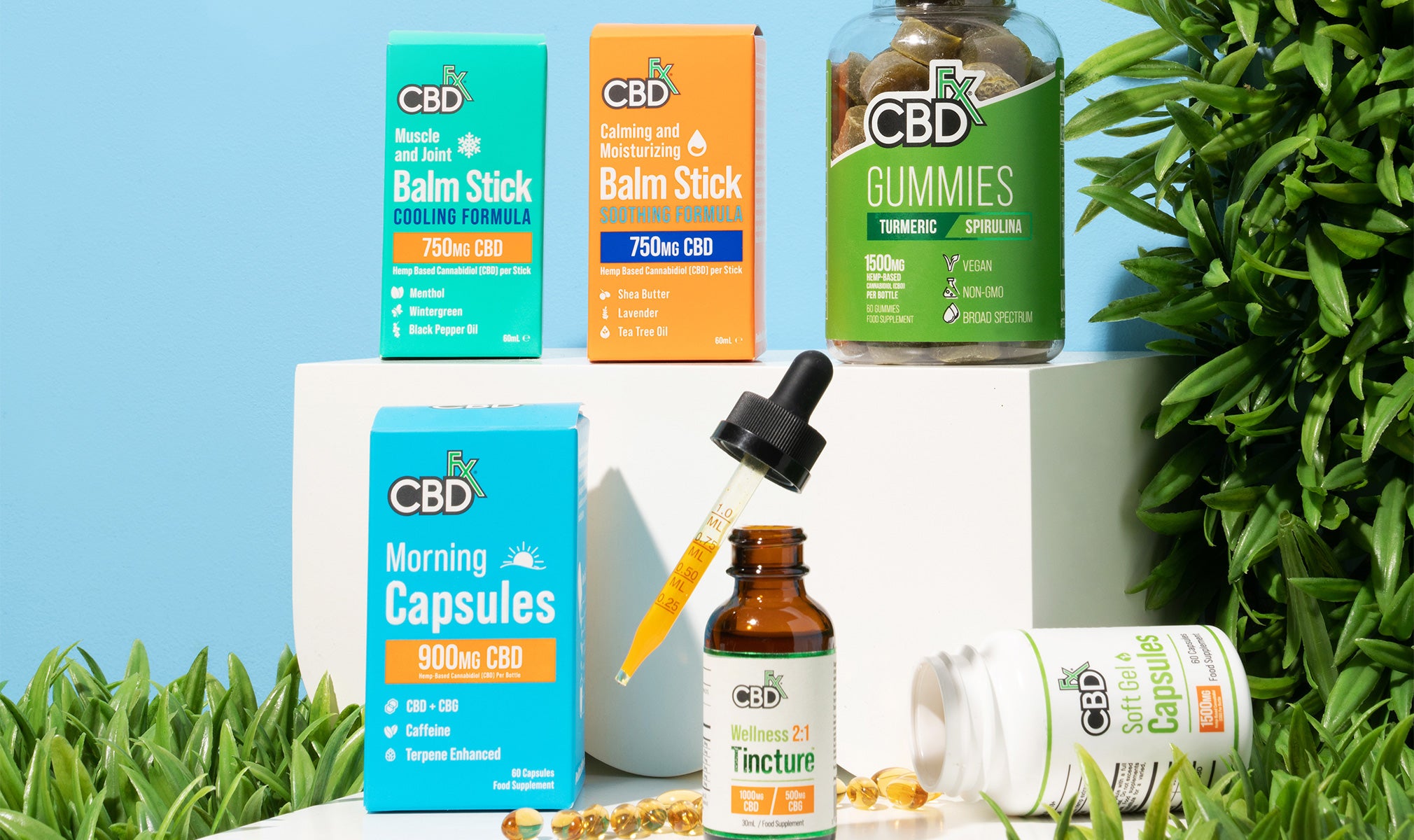 A Beginner’s Guide to CBD