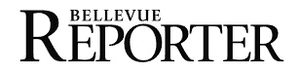believue reporter logo x