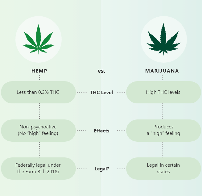 hemp vs cannabis tablet 